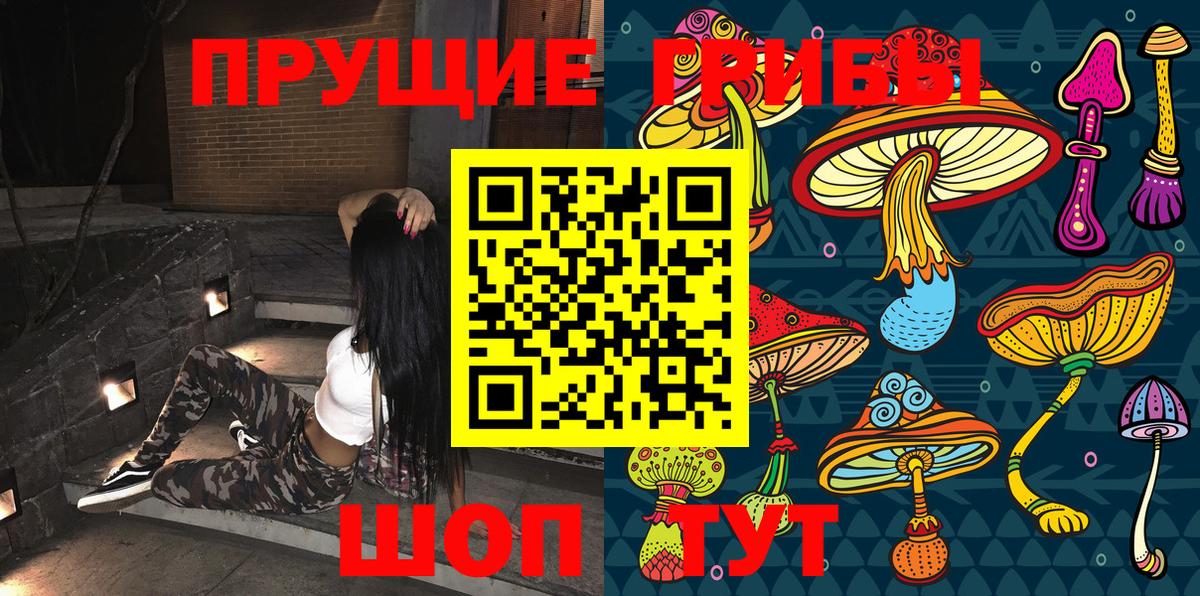 Псилоцибиновые грибы MAGIC MUSHROOMS  Вход с VPN  купить наркотик  Санкт-Петербург  Псилоцибиновые грибы Psilocybe 